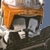 :iconcw-commander-cody: