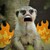 :iconcwong2: