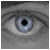 :iconcx2k5: