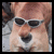 :iconcyanamide: