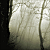 :iconcyanide-rainbow---x: