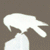 :iconcyanidemon: