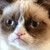 :iconcyanidezombie: