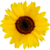 :iconcyberdreamlady: