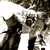 :iconcyberjo50: