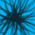 :iconcybersquirrelfish: