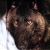 :iconcyberwerewulf: