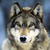 :iconcyberwolf64: