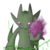 :iconcycloneus: