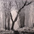 :iconcyn1968: