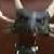 :iconcynder96: