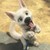 :iconcynderlover20: