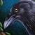 :iconcynderstar8: