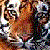 :iconcynicalfire: