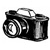 :iconcynoche: