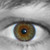 :iconcyrilnovello: