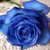:iconcyrstalrose:
