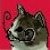 :iconcyrvxc: