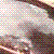 :iconczarnaroza-sama: