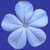 :icond1r31:
