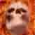 :icond3i7y: