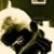 :icond4ni3l-5: