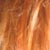 :icond4rkshines: