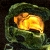 :icond60606m: