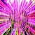 :icond81psychedelic8: