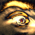 :iconD-dasti: