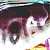 :icond-morbidaura: