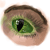 :icond-traina: