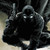:iconda-demon-monkey: