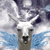 :iconda-llama-fairy:
