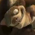 :iconda-names-buck: