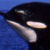 :iconda-pod: