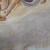 :iconda-satoshi-0110: