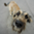 :iconda-vyncy: