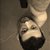 :icondaalla13: