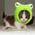 :icondaartist64: