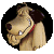 :icondabloopers: