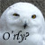 :icondachshund85: