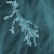 :icondachsund: