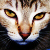 :icondacredo: