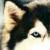 :icondae-and-knight: