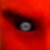 :icondaem0n: