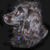 :icondaemon-djinn: