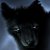 :icondaemon-enigma: