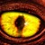 :icondaemon324: