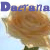 :icondaerana:
